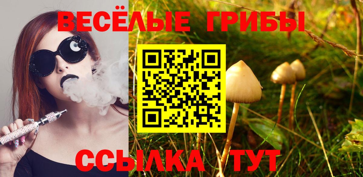 Псилоцибиновые грибы GOLDEN TEACHER Симферополь
