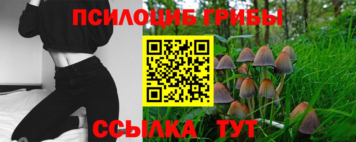 Симферополь  Галлюциногенные грибы Cubensis  Галлюциногенные грибы Psilocybe  где купить наркотик  Вход с VPN 